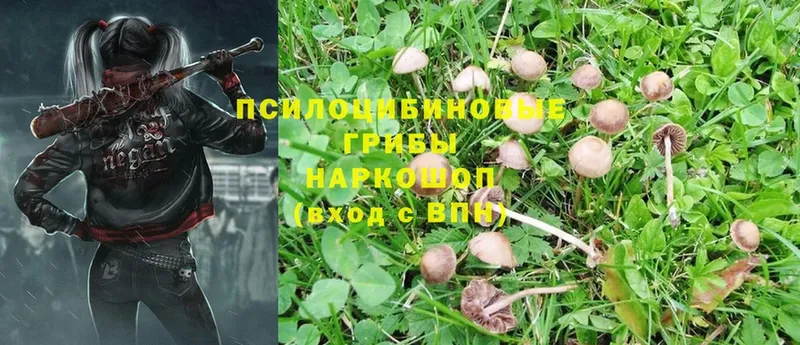 где купить наркоту  Бирск  Псилоцибиновые грибы MAGIC MUSHROOMS 